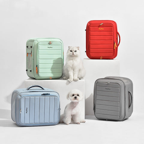 Foldable Portable Breathable Pet Carrier Backpack