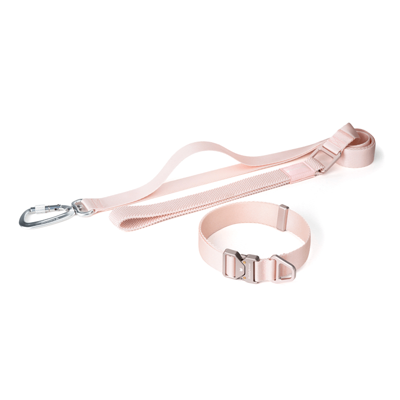 Collar & Leash Lightweight Alloy Set