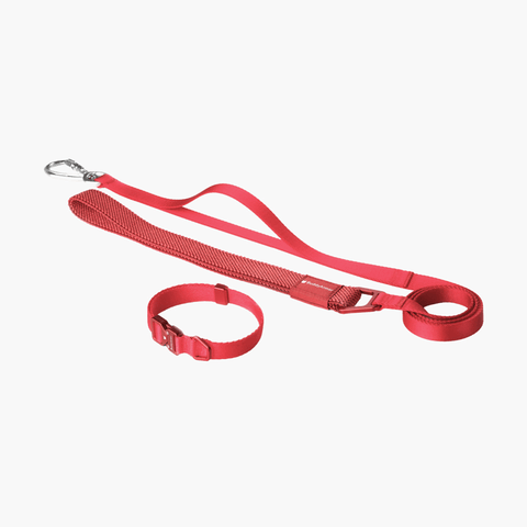 Collar & Leash Lightweight Alloy Set